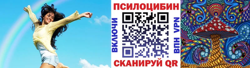 где купить наркоту  блэк спрут сайт  Галлюциногенные грибы ЛСД  Чишмы 